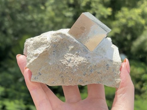 『西班牙黃鐵礦 Pyrite』Matrix016