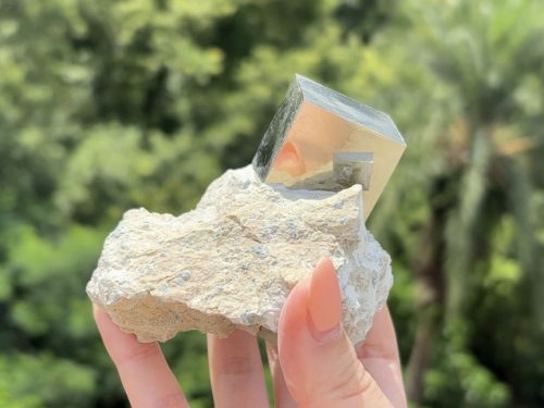 『西班牙黃鐵礦 Pyrite』Matrix014