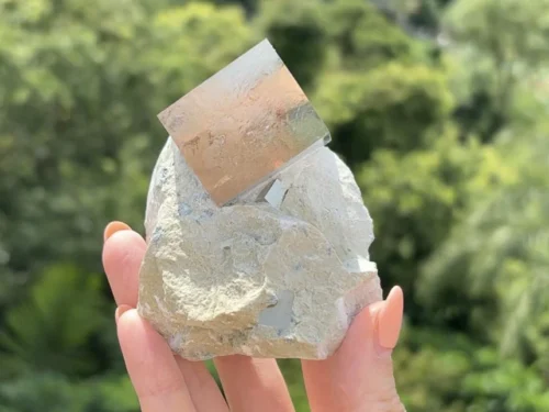 302d64ff-matrix015 西班牙黃鐵礦 Pyrite Matrix015