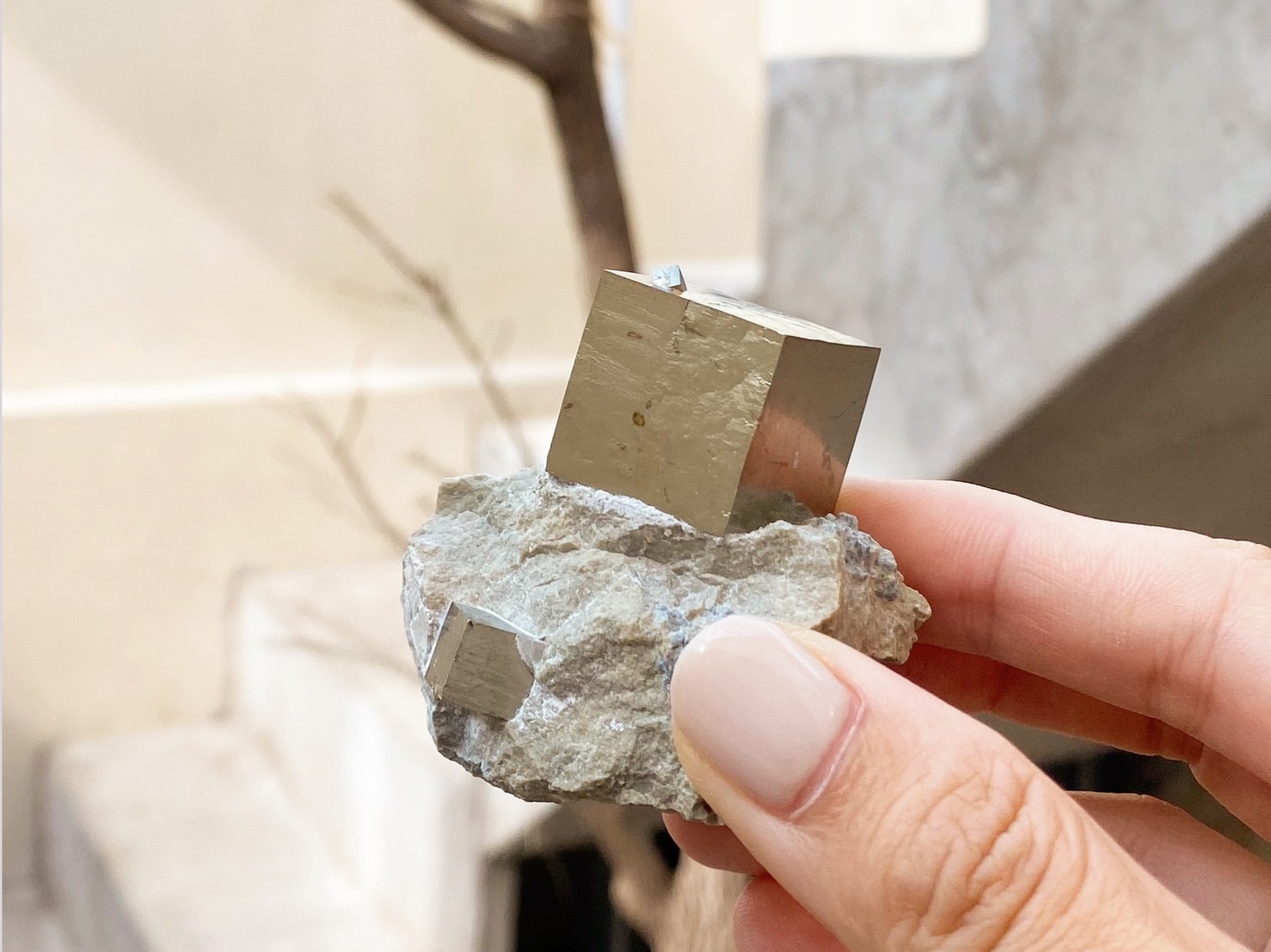 『西班牙黃鐵礦 Pyrite』加大款 | 連結高我挑選