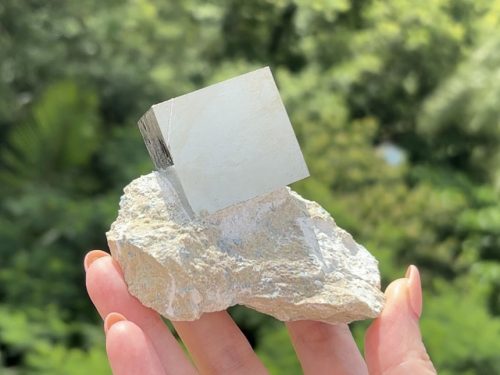 『西班牙黃鐵礦 Pyrite』Matrix013