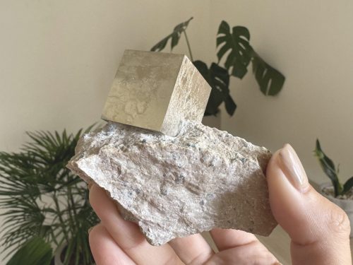 『西班牙黃鐵礦 Pyrite』Matrix018