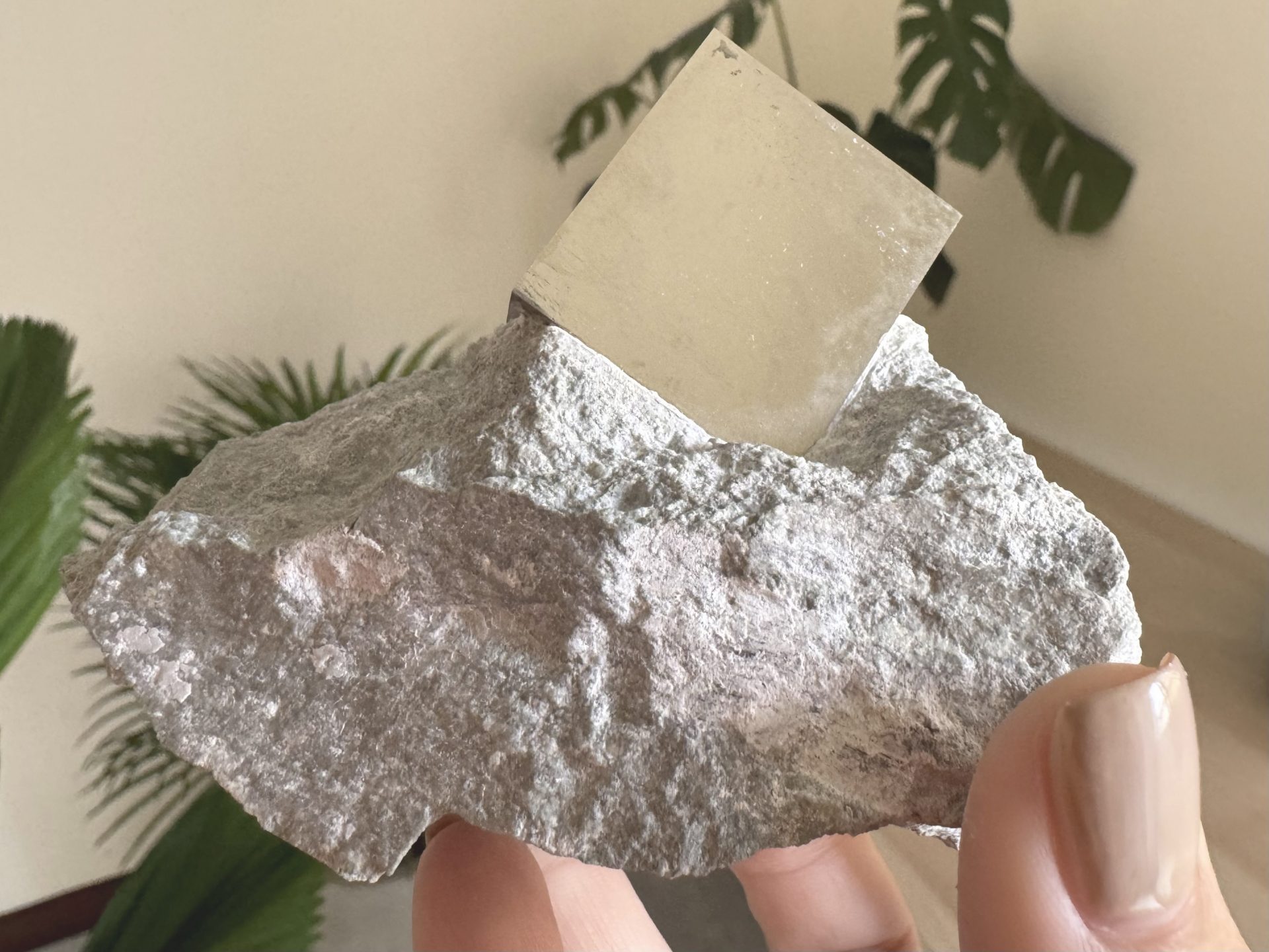 『西班牙黃鐵礦 Pyrite』Matrix021