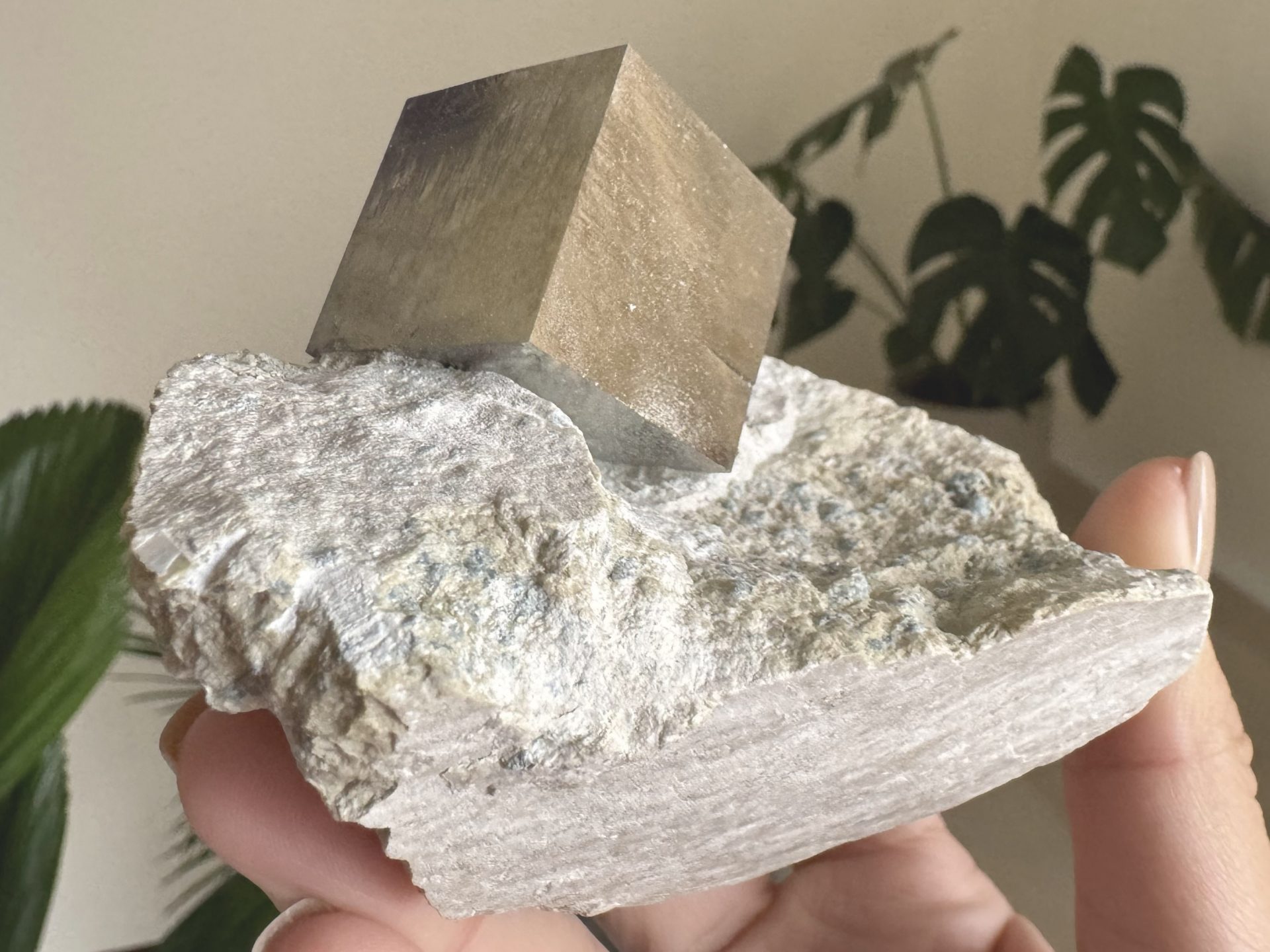 『西班牙黃鐵礦 Pyrite』Matrix022