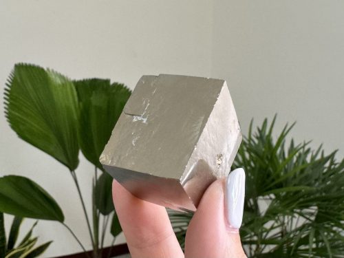 『西班牙黃鐵礦 Pyrite Cubes』H010