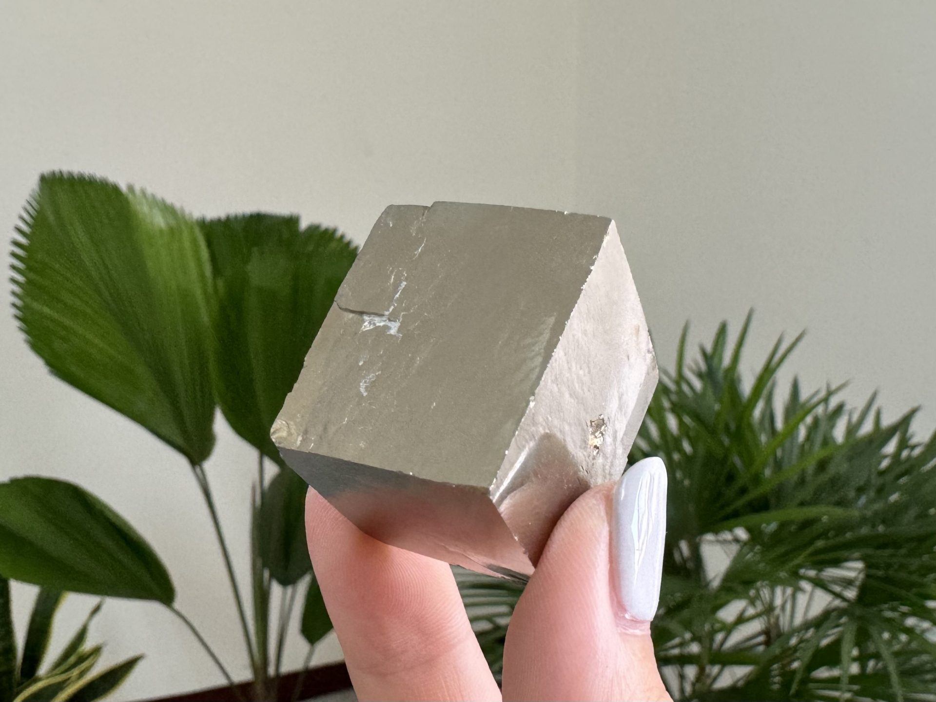 『西班牙黃鐵礦 Pyrite Cubes』H010