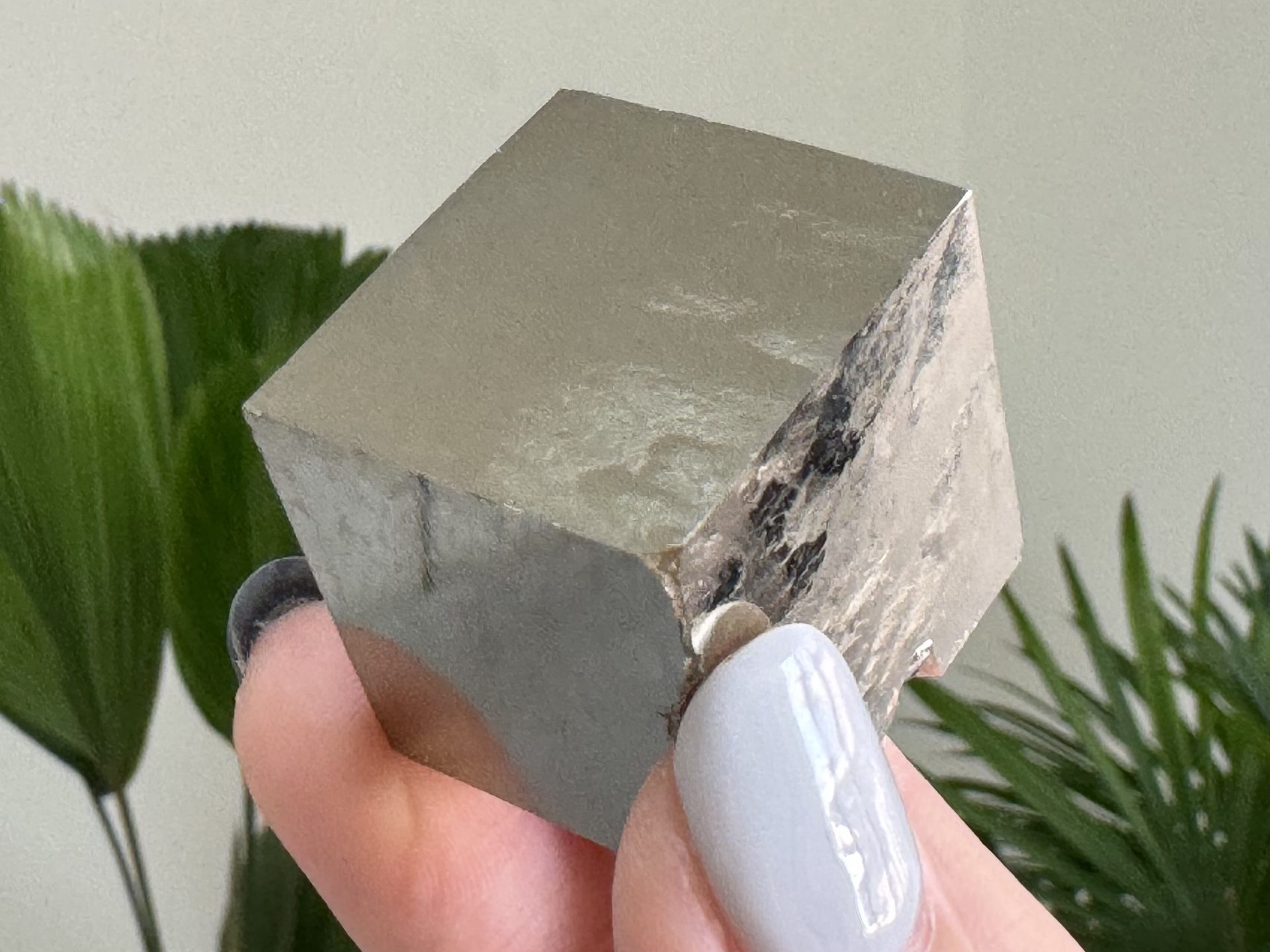 『西班牙黃鐵礦 Pyrite Cubes』H011