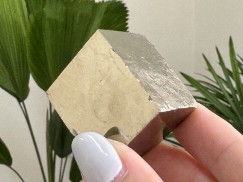 『西班牙黃鐵礦 Pyrite Cubes』H013