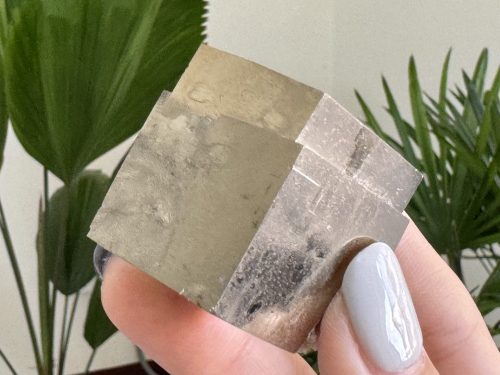 『西班牙黃鐵礦 Pyrite Cubes』H014