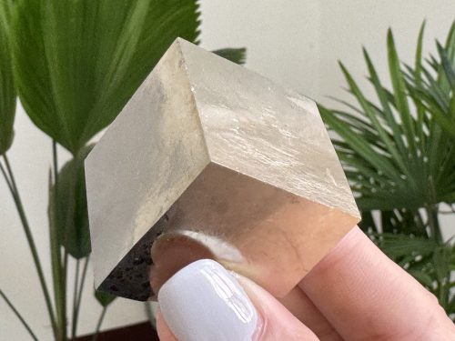 『西班牙黃鐵礦 Pyrite Cubes』H015