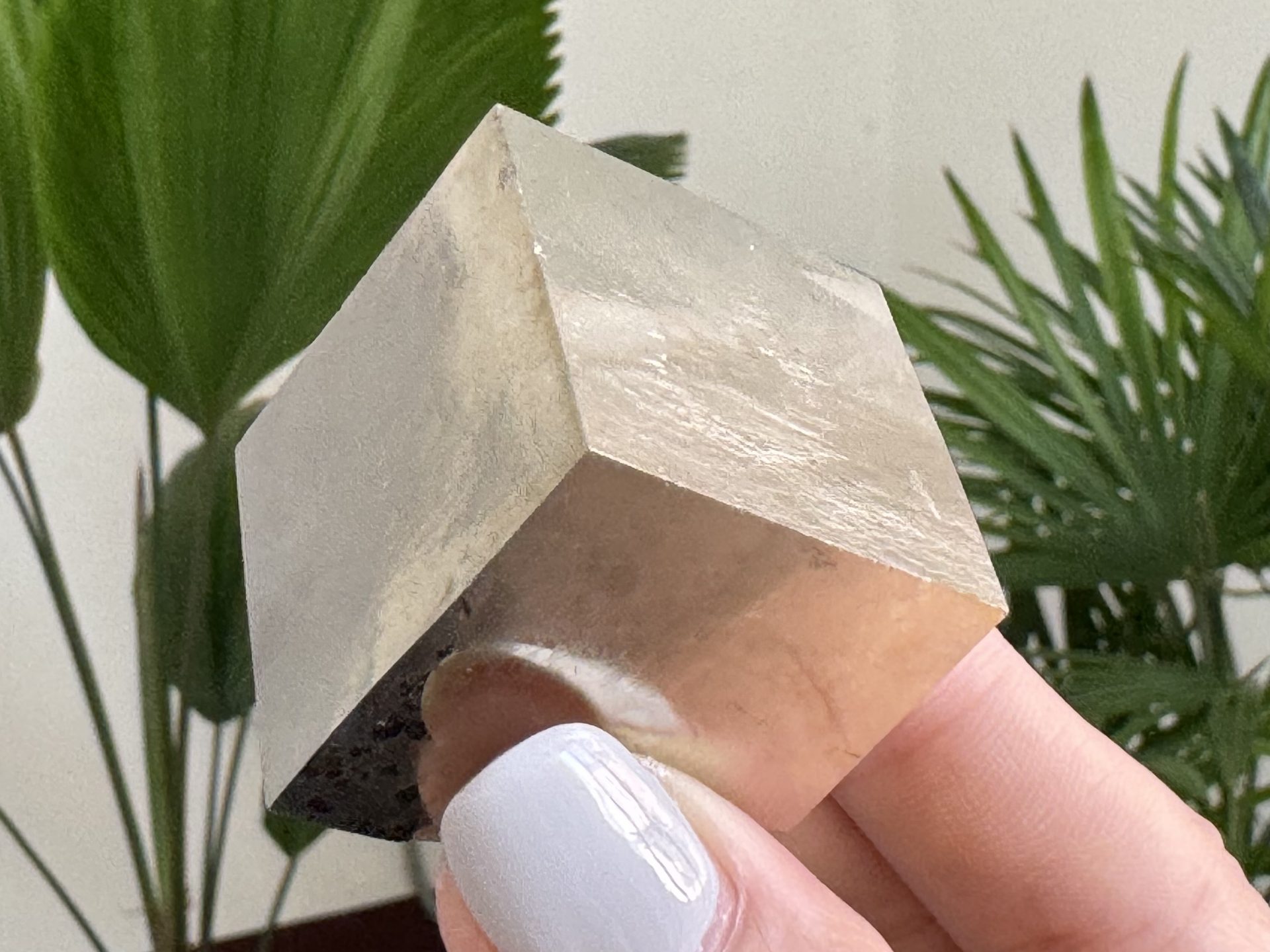 『西班牙黃鐵礦 Pyrite Cubes』H015