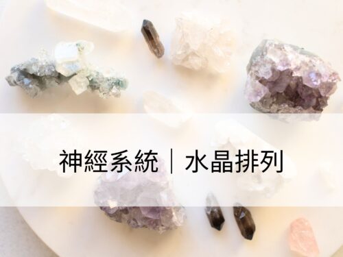 神經系統：提升放鬆效果，促進神經穩定狀態