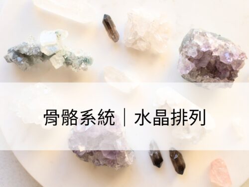骨骼系統：強化骨骼穩定，支撐健康平衡