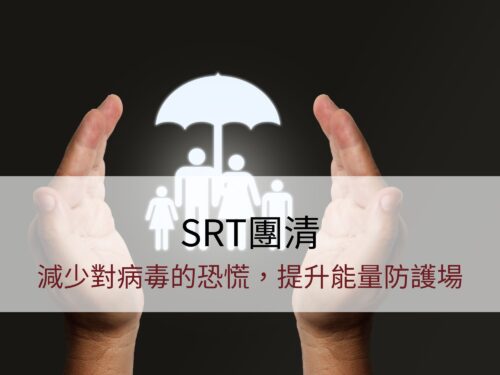 2/8（六）SRT團體清理 | 減少對病毒的恐慌，提升能量防護場