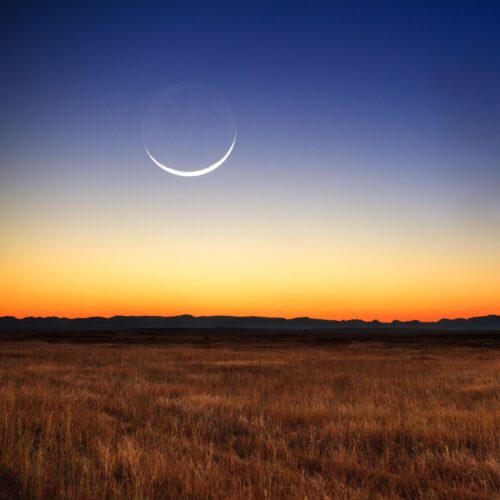 新月啟動・吉祥守護