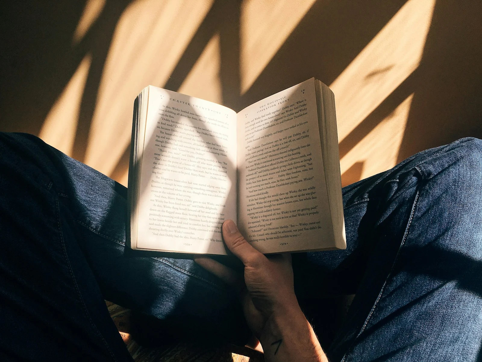 在陽光裡讀書